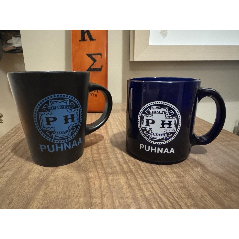 Vintage Phi Kappa Sigma Fraternity Mug | Class of 1965 | PUHNAA Skullhouse
